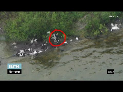 NRK – Dagsrevyen – 23 July 2011