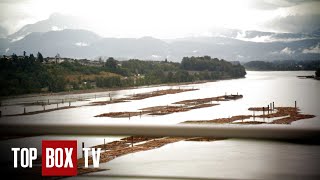 Instinct And Paranormal Solve Crime - Psychic Investigators - Bad Company