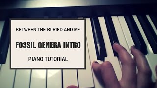 Piano Tutorial: Intro to Fossil Genera by BTBAM