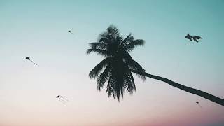 Goldfish - Hold Your Kite (feat. Sorana)