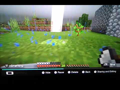 oh my god thunder that crazy rain Minecraft Nintendo switch