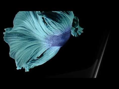 iPhone 6s introduction