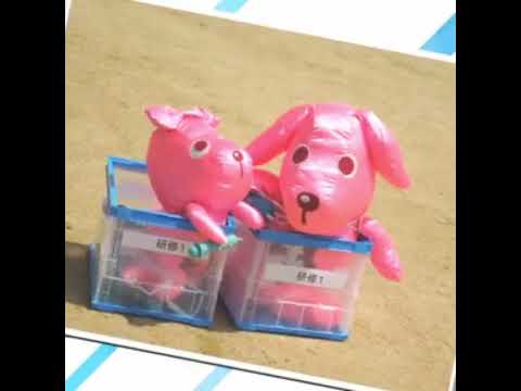 看護学科 華頂看護専門学校
