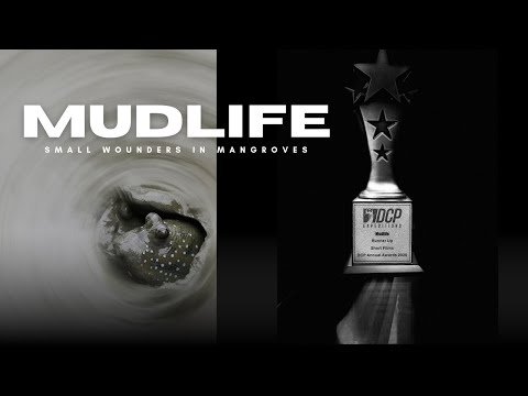 BERNARD CAMPBELL An Award Winning Film MUD LIFE
