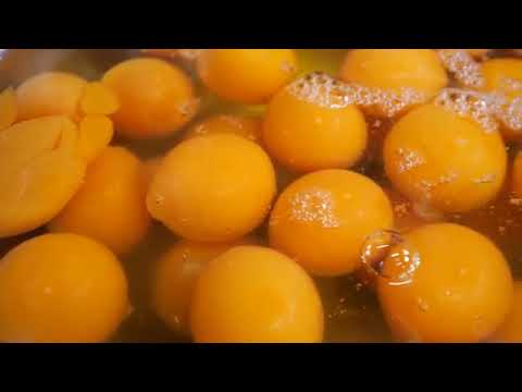 1.1 KG OF FRIED RICE?! GIANT Food Challenge in Tokyo! | tamakula vlogs