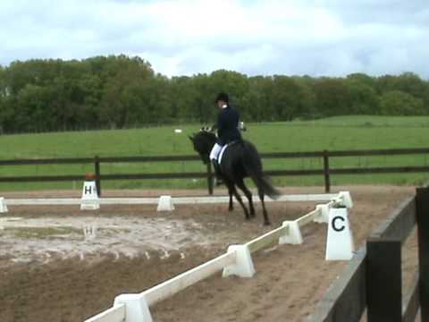 High Spirit, tävling Klippan, Lätt A:1