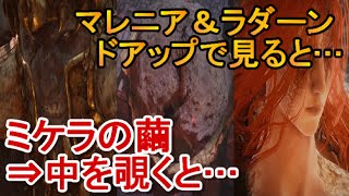 【エルデンリング】ミケラの繭⇒中を覗くと…＋マレニア＆ラダーンをドアップで見ると...elden ring