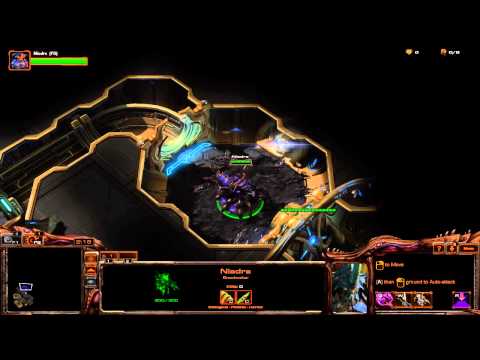 Heart of the Swarm - Niadra Quotes