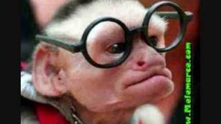 LUCIO DALLA-NON VERGOGNARSI MAI