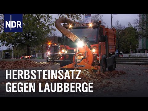 Straßenreinigung Hannover: Laub-Profis im Einsatz | Die Nordreportage | NDR Doku