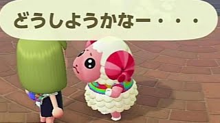 【あつ森】ちゃちゃまるが引っ越しちゃう！！！！！！！！！！！！！！やだああああああああああああああああああああああ