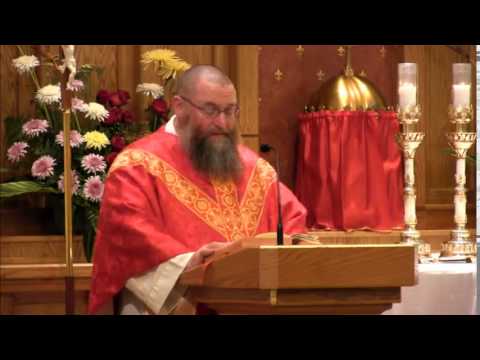 Jun 11 - Homily: St. Barnabas and his Apostolic Mission