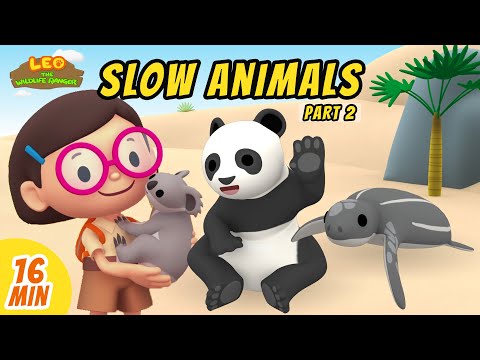 Slow Animals Minisode Compilation (Part 2/2) - Leo the Wildlife Ranger | Animation | For Kids