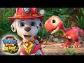 PAW PATROL THE DINO MOVIE 2026 Marshall Meets Rhubarb The T Rex Nick Jr