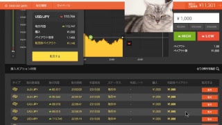 【FX】1万円から始める為替取引【BO】64