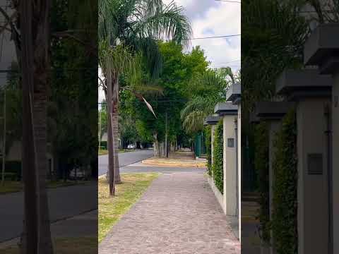 Son realmente muy tranquilas las calles de la ciudad de #ituzaingo #shorts #buenosaires #travel