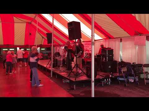 Duane Malinowski Orchestra performing at the Toledo Polish American Festival in Holland, Ohio