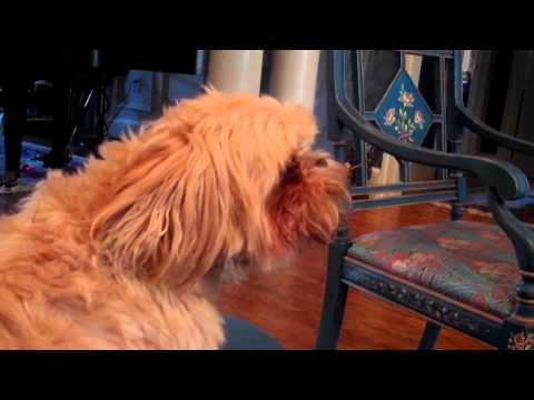 Kirby and Marlissa Hudson sing Verdi's Sempre Libera 11.19.10