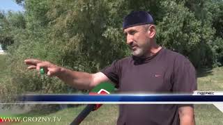 Сотрудники полиции и местные жители Гудермеса спасли тонущего ребенка