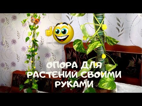 Опора для комнатных вьющихся растений своими руками бюджетнаямой вариант 1