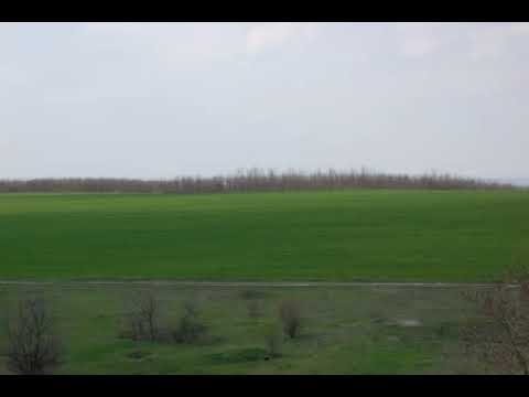 Ion Oleinic kukushka RUS