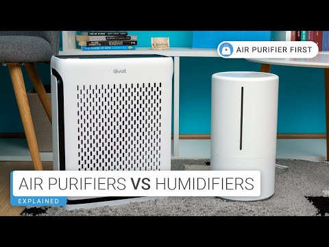 Air Purifiers Vs. Humidifiers: What’s Best for You?