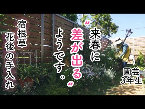 大きな岩が庭のミネラル感を演出