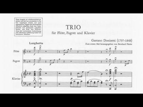 Gaetano Donizetti: Trio for Flute, Bassoon, and Piano, A. 507 (18XX)