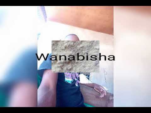 D one ft Shedy Wa pili wanabisha singeli dj karoro