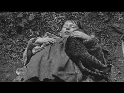 niur - hospital patient [яaш мvzak]