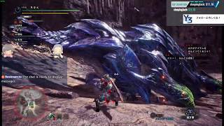 ブラキディオス→ディノバルド→「溶岩竜は熱いうちに打て」→ベリオロス→リオレウス亜種→怒り喰らうイビルジョーなど【MHWアイスボーン】