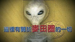 Re: [問卦] 麥田圈的形成？