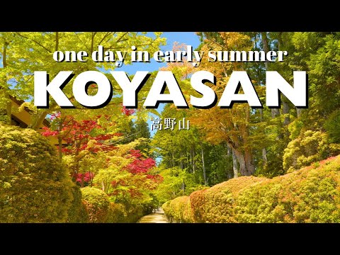 Lost in the last sanctuary, Koyasan⛰️ | one day trip in early summer | Wakayama, Japan