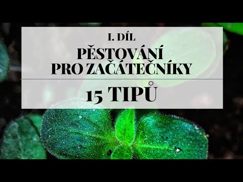 , title : 'Pěstování pro začátečníky 1. díl - 15 tipů než začnete'