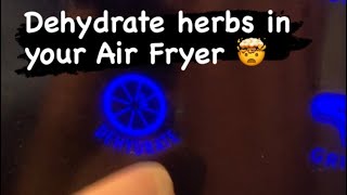 Dehydrating Herbs in an Air Fryer