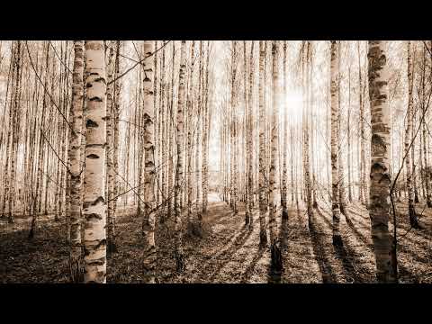 Duet Radulović - Jovanović - Moj đerdane