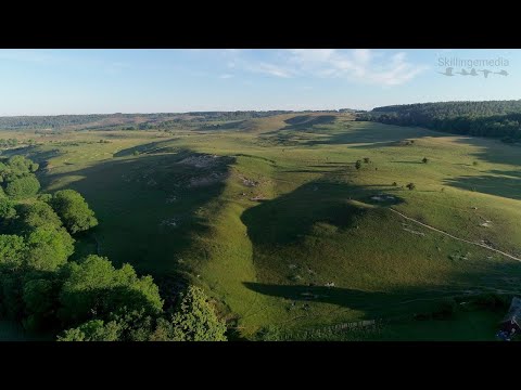 Österlensvepet 76. Tillbaka vid Brösarps backar