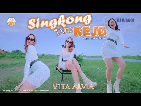 Dj Anak Singkong - Vita Alvia (Official Music Video)