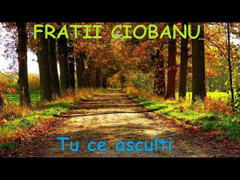 Fratii Ciobanu - Tu ce asculti