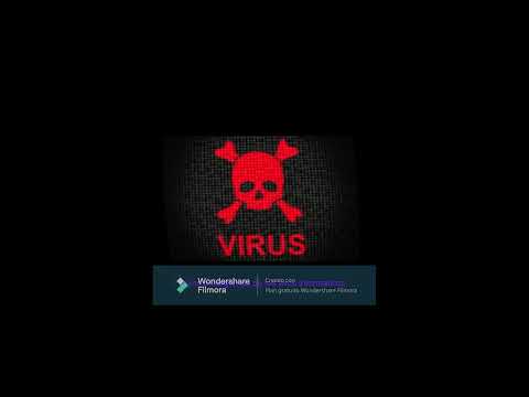 VIDEO 20266