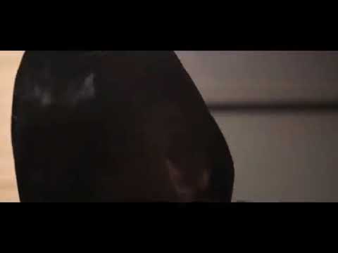 Drillin Episode 4 Link up - Leon x Trizzac x H.I.T.A