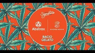 Abstrax x Sherbinskis | Bacio Gelato | The Gassiest Cannabis Ever Measured