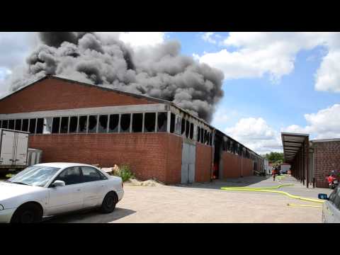 Brand in der Goseburg