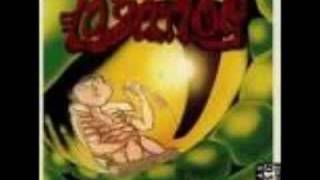 Los Lagartos - Mi Bruja