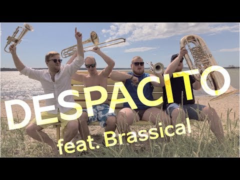 Brassical - Despacito (Luis Fonsi Cover)