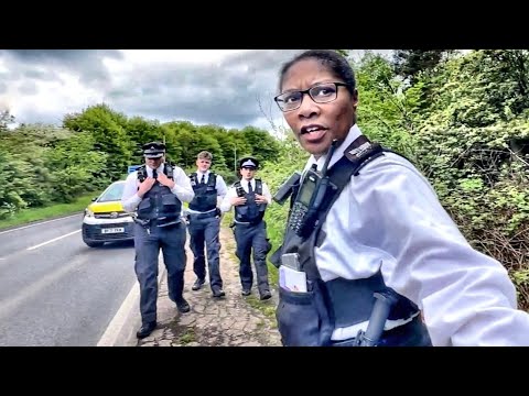 The Three Little Pigs And The Big Bad Wolf