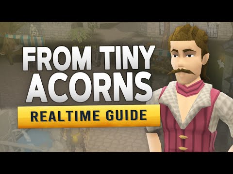 [RS3] From Tiny Acorns – Realtime Miniquest Guide