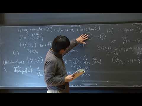 Wild harmonic bundles and related topics I - Takuro Mochizuki