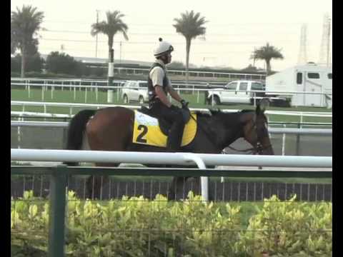 2012 Interview with Luca Cumani on Presvis