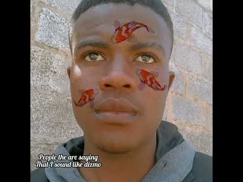 people saying that I sound like dizmo